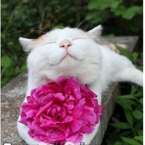 Meet your Posher, Hayley